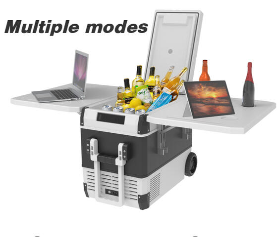 Portable E-fridge